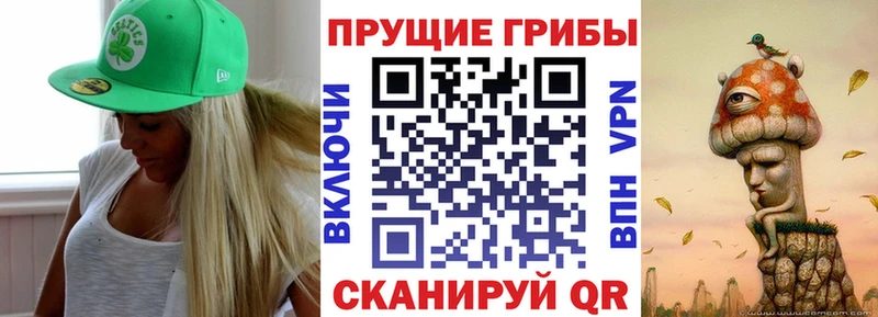 мега   Богородицк  Псилоцибиновые грибы мухоморы 