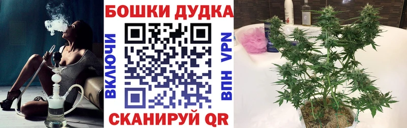 Канабис THC 21%  Богородицк 